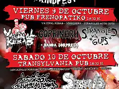 Sachazo grind festival