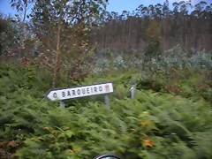 DSCN6737