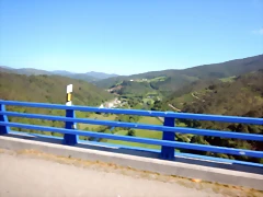 DSCN6594