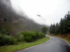 DSCN8489 DSCN8489
