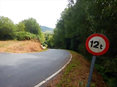 DSCN6591 DSCN6591