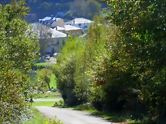 12-IMG_3432 12-IMG_3432