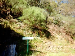 DSCN5075 DSCN5075