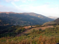 DSCN1891