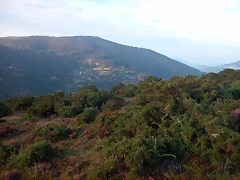 DSCN1897 DSCN1897