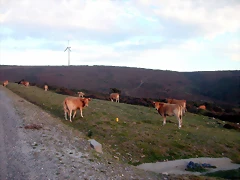 DSCN1903 DSCN1903