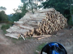 DSCN1926 DSCN1926