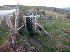 DSCN1907 DSCN1907