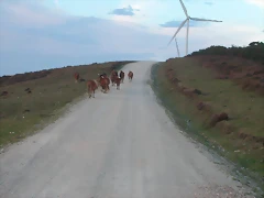 DSCN1904 DSCN1904