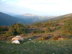 DSCN1900