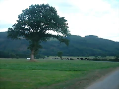 DSCN1925 DSCN1925