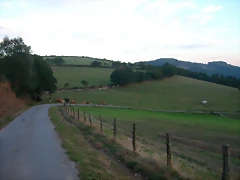 DSCN1919 DSCN1919