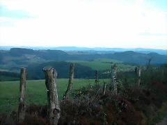 DSCN1910 DSCN1910