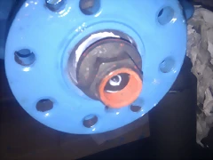 IMAG1227 IMAG1227