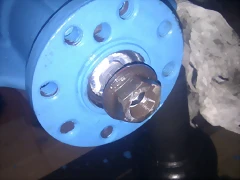 IMAG1226 IMAG1226