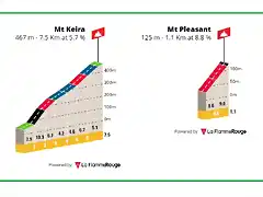 PERFIL COTAS RUTA ELITE