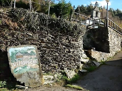 DSCN0956 DSCN0956