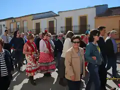 16, paseillo da 2, marca