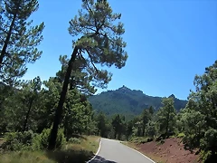 28a