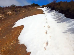 DSCN9128 DSCN9128
