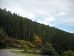 DSCN9298 DSCN9298