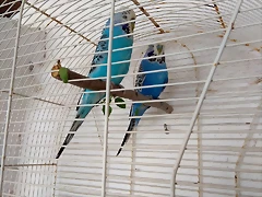 IMG_20180420_170936 IMG_20180420_170936