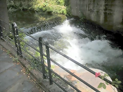 DSCN4184 DSCN4184