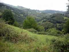 DSCN4784 DSCN4784