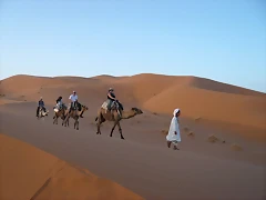 P1010910
