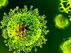 ASI ES EL VIRUS CORONAVIRUS 19