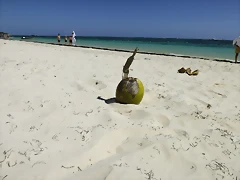 DSCF3994