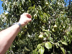 DSCN3925 DSCN3925