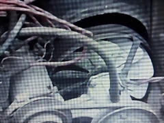 20190527_203410