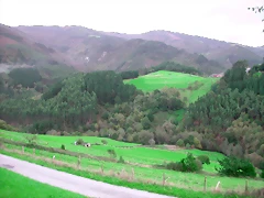 DSCN6307 DSCN6307