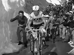 Galdos-Stelvio1975