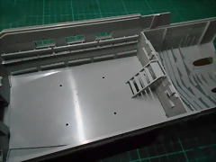 DSCN5811