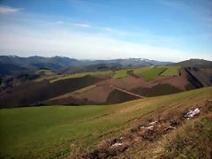 DSCN2517 DSCN2517
