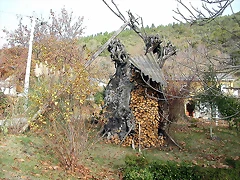 DSCN9468 DSCN9468