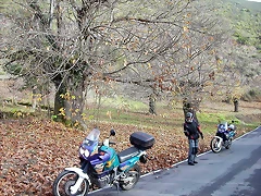 DSCN9467 DSCN9467
