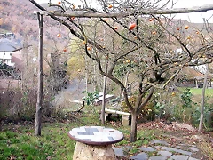 DSCN9471 DSCN9471