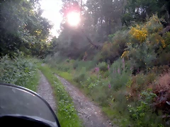 DSCN6059 DSCN6059
