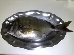 07112010706 07112010706