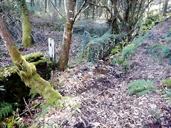 DSCN1424 DSCN1424
