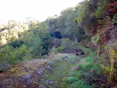 DSCN9366