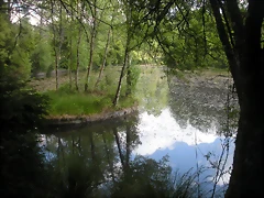 DSCN5358 DSCN5358