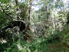 DSCN7637 DSCN7637