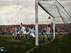 colorized-image (1)