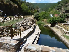 P1070193 P1070193