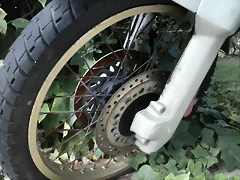 IMG-20191120-WA0033 IMG-20191120-WA0033