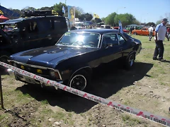 SDC13513 SDC13513